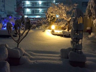 大雪