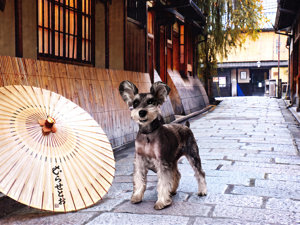 古都を歩く犬